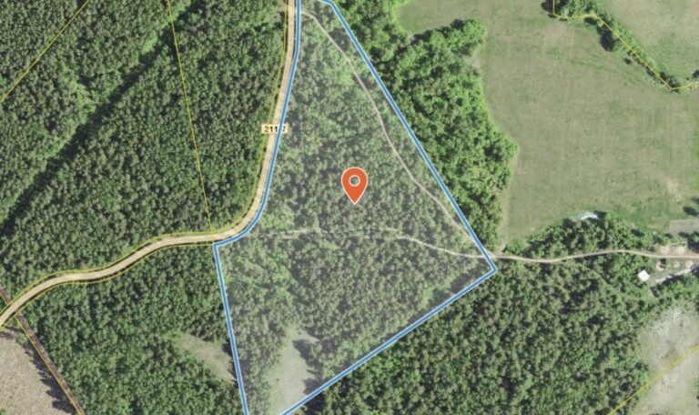 Maa Saaremaal – männimets, ehitusvõimalus