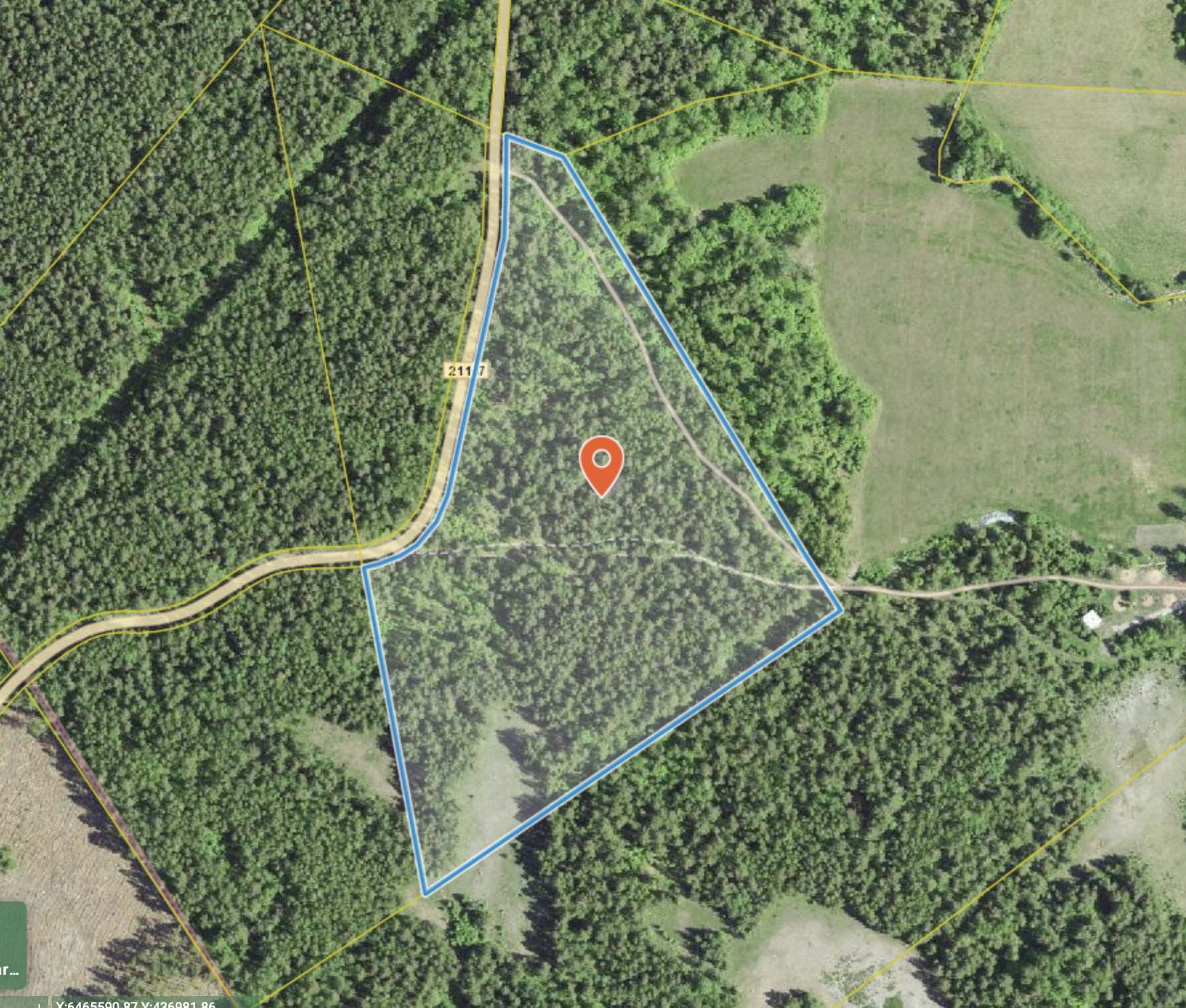 Maa Saaremaal – männimets, ehitusvõimalus